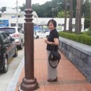 양양군청 이미지