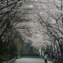 창제한의원 이미지