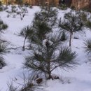 반송목장 이미지