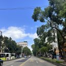 피엠푸드 중산하늘마을점 | 타이베이 근교 여행 코스 추천 우라이 온천부터 키키 레스토랑 타이베이101 야경까지 완벽 일정(셔틀...