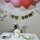 프프프스토어 이미지