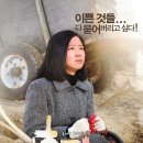 D-11 이미지
