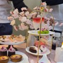 운남그린 | 티 덕후 시점 2025 카페쇼 탐방기 🍃