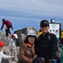 석진이네 이미지