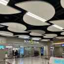 [김포공항 가볼만한곳 추천] 올리브영 김포공항국내선청사점 후기! 올리브영 탈모샴푸/선크림/입욕제