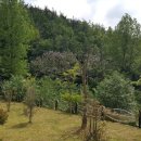 월선권역 이미지