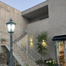 각이진별 이미지