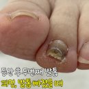 레푸스강남세곡점 이미지