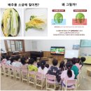 솜다리반의 12월 2주 이야기 이미지