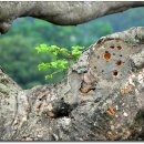 섬진강자전거길1 이미지