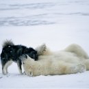 사진마을 이미지