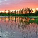 신비소리 이미지