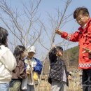 장동 어린이공원 이미지