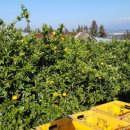 민성이네 농장 이미지