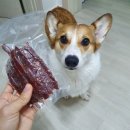 오도독캣 이미지