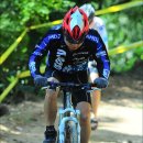 봉팔이네 이미지