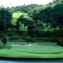 아크로 골프 이미지