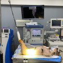 임재성동물의료센터 이미지