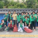 봉황거리 벽화 이미지