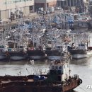 진안-진안-비상-26 이미지