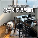 하루방뚝배기 | 📍경주 고등어구이 맛집 | 대형견가능 | 애견동반식당 [하루방뚝배기] 내돈내산 솔직후기