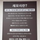 청미세꼬시 이미지