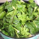 비금농장 | 해풍맞아 더 맛있는 비금섬초 기술농장 시금치 보관방법까지~