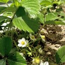 진영교통(주) 이미지