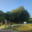 선덕여왕릉 화장실 이미지