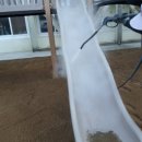 송도 초등학교 병설 유치원 이미지