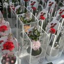 도운화원