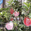 삼성초등학교 이미지