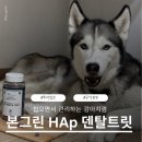 그린워크 착한세탁소 | 우리 강아지 치석과 입 냄새 고민 끝! 깎지 않고 채우는 본그린HAp 덴탈트릿