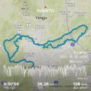 삼삼디자인 | 더워서 죽을뻔 했지만 즐거웠던! 2026 삼삼트레일런 팀전 후기