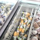 베가소프트 | 훗카이도 신혼여행 5박6일 260125/삿포로 렌트카.그란벨 호텔 타누키.교자제조소 #삿포로여행 꿀팁