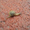 한사랑PC카페 이미지