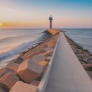 라온행정사사무소 이미지