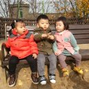 단남초등학교 이미지