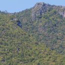 동부상사(시장) 이미지