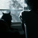 하얀기쁨 이미지