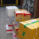 싱싱참치 이미지