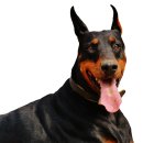 울산동물병원 이미지