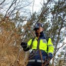 덕진인공수정 이미지