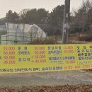 숲속옹달샘 인근 이미지