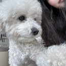 끼리끼리 이미지