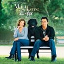 비밀과 거짓말의 차이 (Must Love Dogs, 2005) 이미지