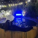 설악워터피아실외수영장 이미지