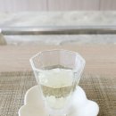 코코시에나 이미지