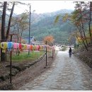 흥령선원지 이미지