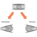 과천한의원 이미지